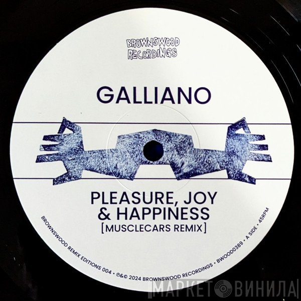 Galliano - Pleasure, Joy & Happiness / Circles Going Round The Sun