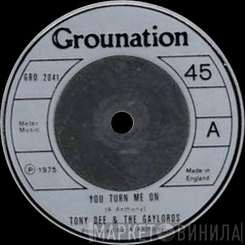 Gaylords, Tony Dee  - You Turn Me On