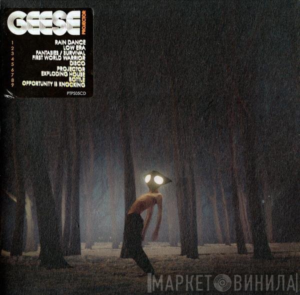 Geese  - Projector