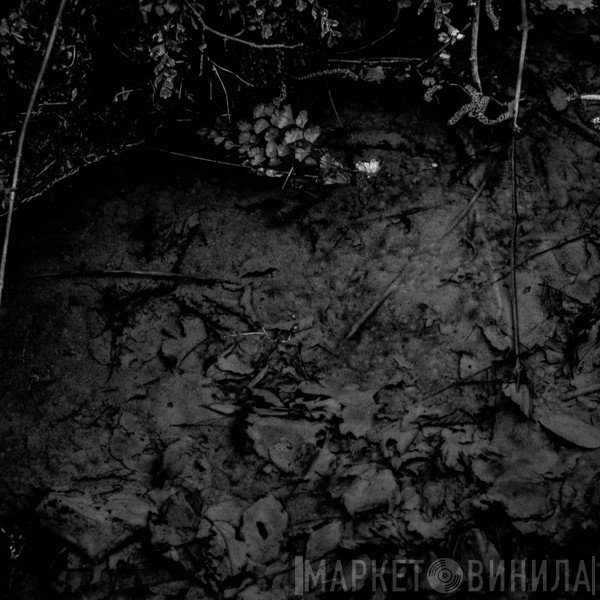 Gianluca Becuzzi  - In Between
