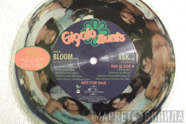 Gigolo Aunts  - Bloom