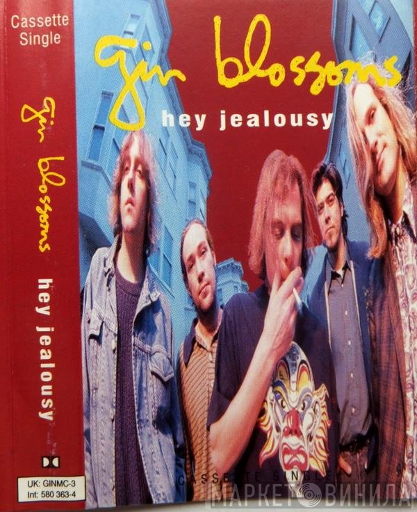 Gin Blossoms - Hey Jealousy