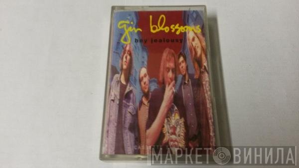 Gin Blossoms - Hey Jealousy