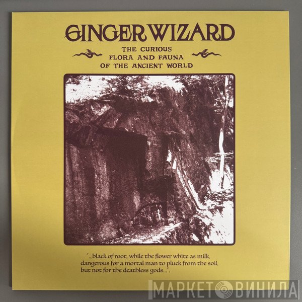 Ginger Wizard - Curious Flora & Fauna Of The Ancient World