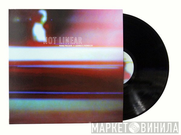 Gino Pavan / Guido Frezzato + Giulio Aldinucci / Eraldo Bernocchi  - Not Linear