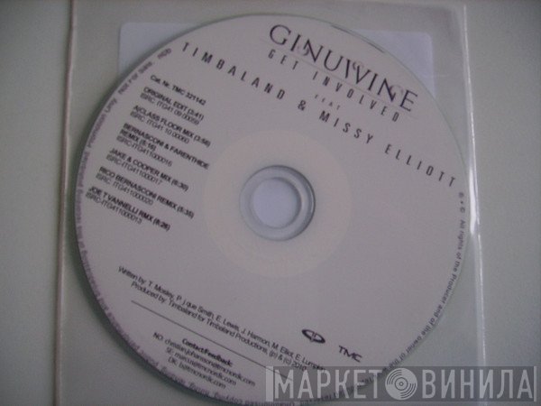 Ginuwine Feat Timbaland & Missy Elliott  - Get Involved