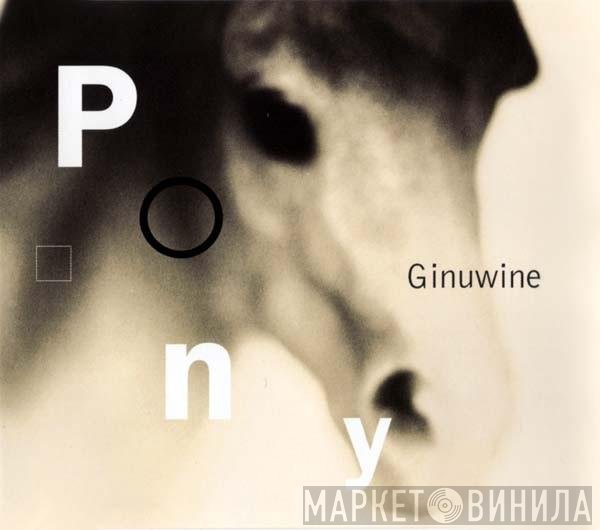Ginuwine  - Pony