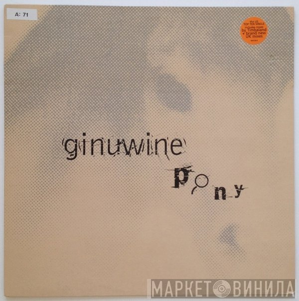 Ginuwine - Pony