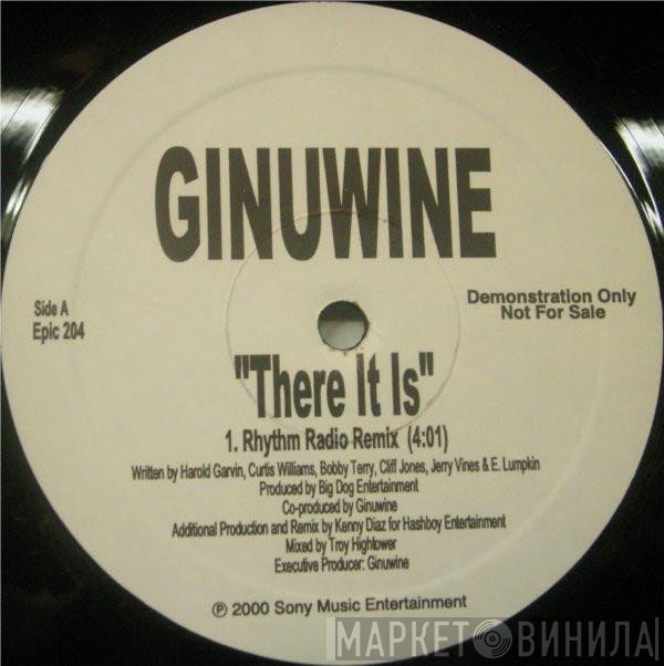 Ginuwine - There It Is