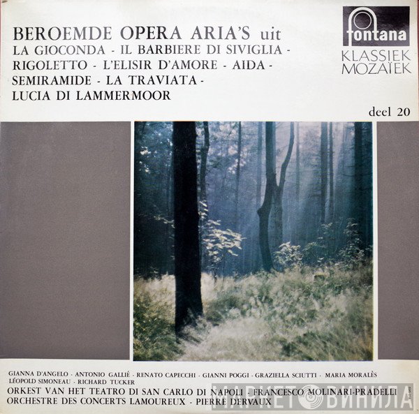 Giuseppe Verdi, Amilcare Ponchielli, Gioacchino Rossini, Gaetano Donizetti  - Beroemde Opera Aria's