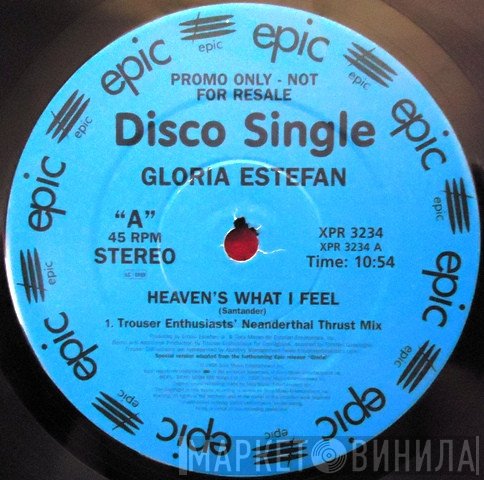 Gloria Estefan - Heaven's What I Feel