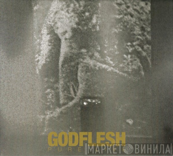 Godflesh  - Pure : Live
