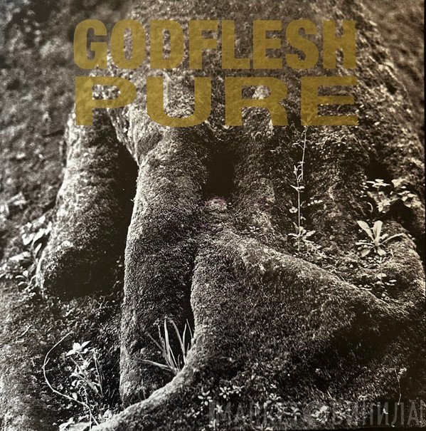 Godflesh  - Pure