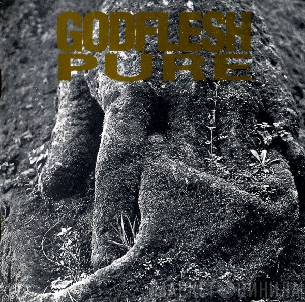 Godflesh  - Pure