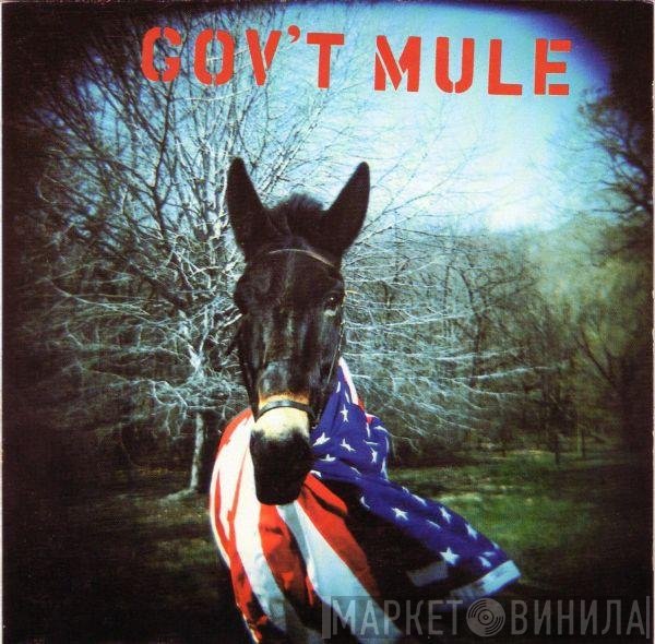 Gov't Mule  - Gov't Mule