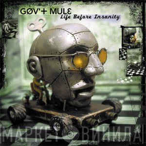 Gov't Mule  - Life Before Insanity
