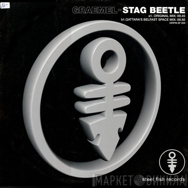 Graeme Laverty - Stag Beetle