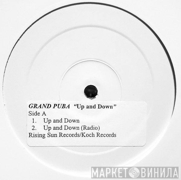 Grand Puba  - Up And Down