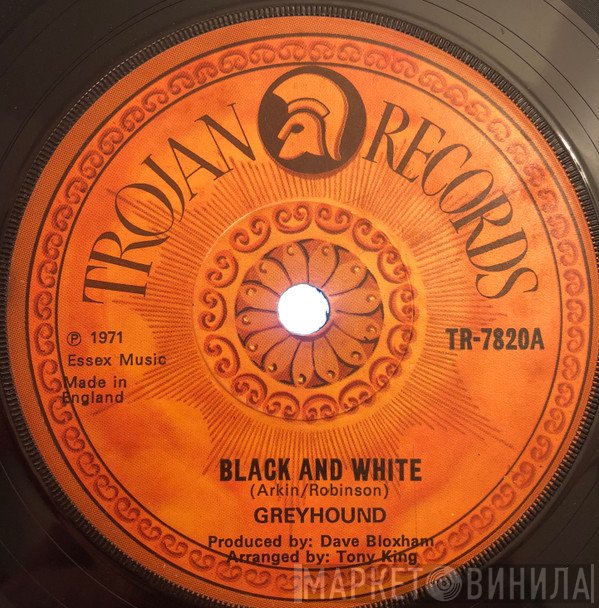 Greyhound  - Black And White