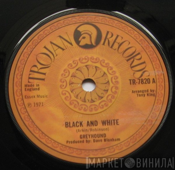 Greyhound  - Black And White