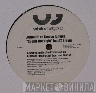 Groove Junkies, Audiolife - Spend The Night