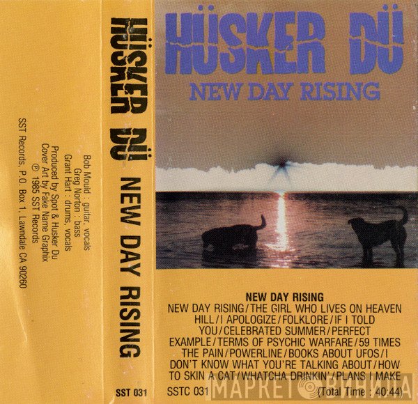 Hüsker Dü  - New Day Rising