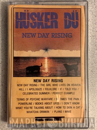 Hüsker Dü  - New Day Rising