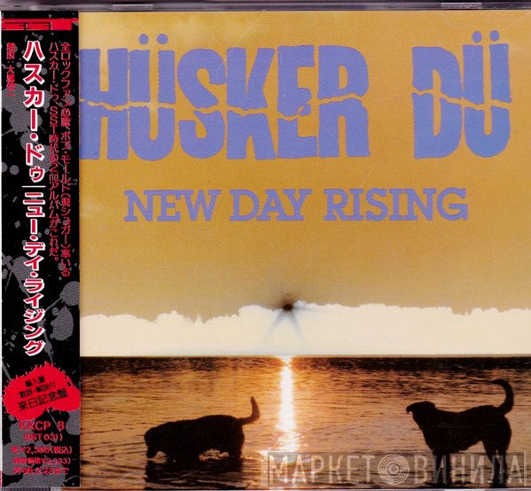 Hüsker Dü  - New Day Rising