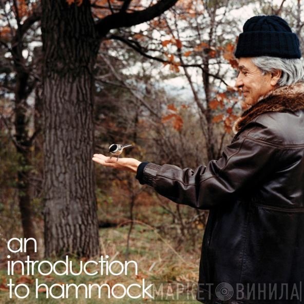 Hammock  - An Introduction To Hammock