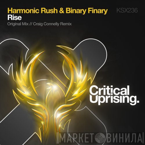Harmonic Rush & Binary Finary  - Rise