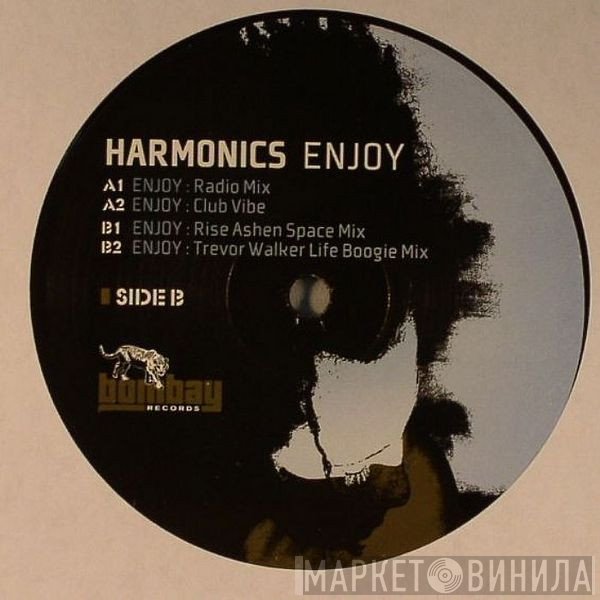 Harmonics - Enjoy