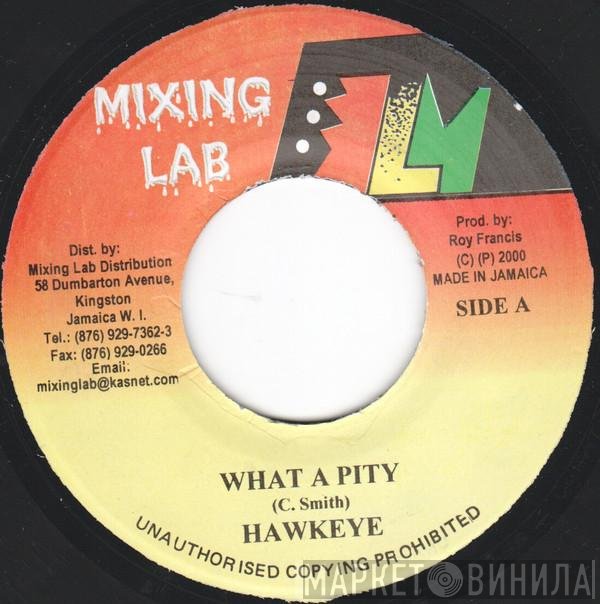 Hawkeye  - What A Pity