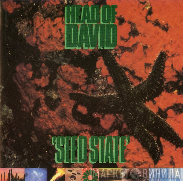 Head Of David  - Seed State