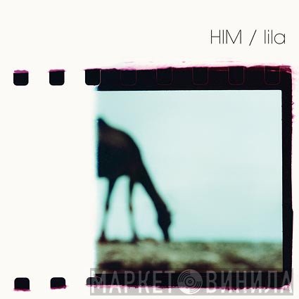 HiM  - Lila