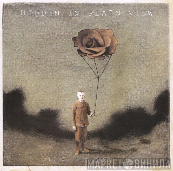 Hidden In Plain View - Life In Dreaming