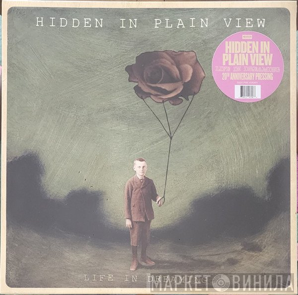 Hidden In Plain View - Life In Dreaming