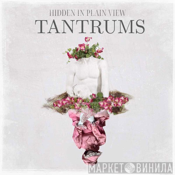 Hidden In Plain View  - Tantrums