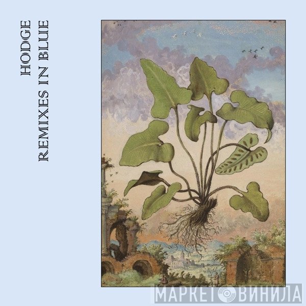 Hodge   - Remixes In Blue