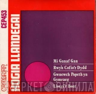 Hogia Llandegai - Mi Ganaf Gan