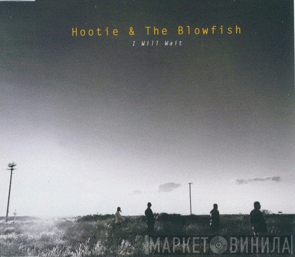 Hootie & The Blowfish - I Will Wait