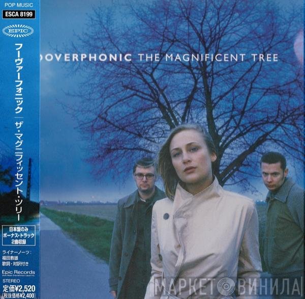 Hooverphonic  - The Magnificent Tree
