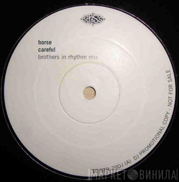 Horse  - Careful