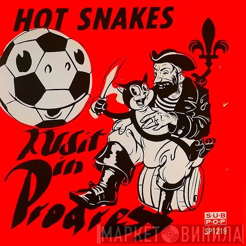 Hot Snakes  - Audit In Progress