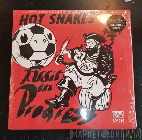 Hot Snakes  - Audit In Progress