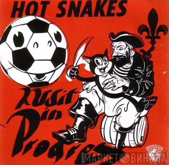 Hot Snakes  - Audit In Progress