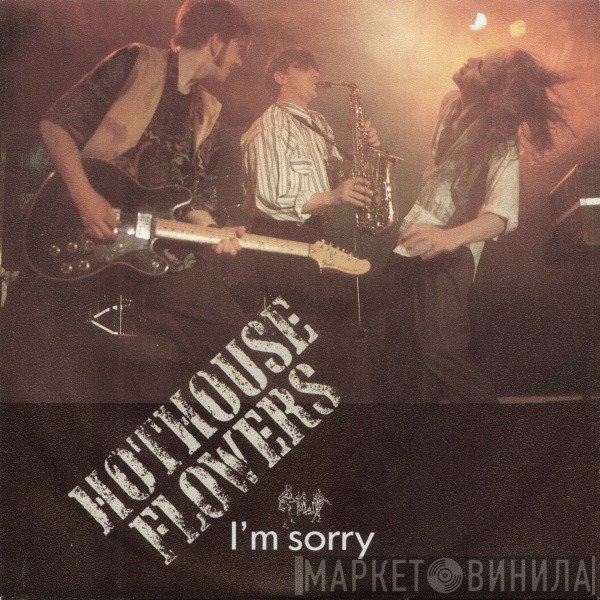 Hothouse Flowers  - I'm Sorry