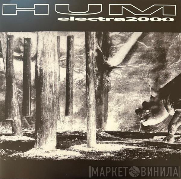 Hum  - Electra 2000