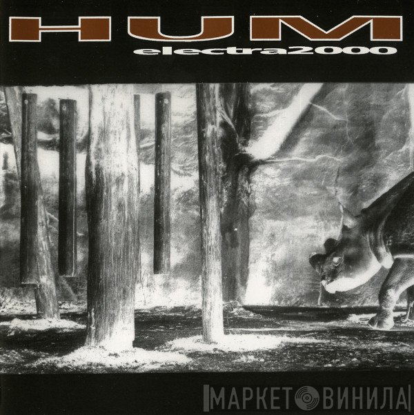 Hum   - Electra 2000