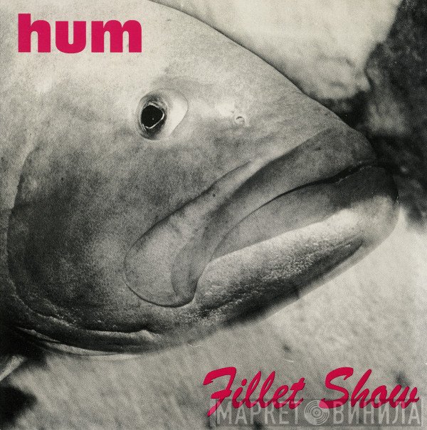 Hum   - Fillet Show