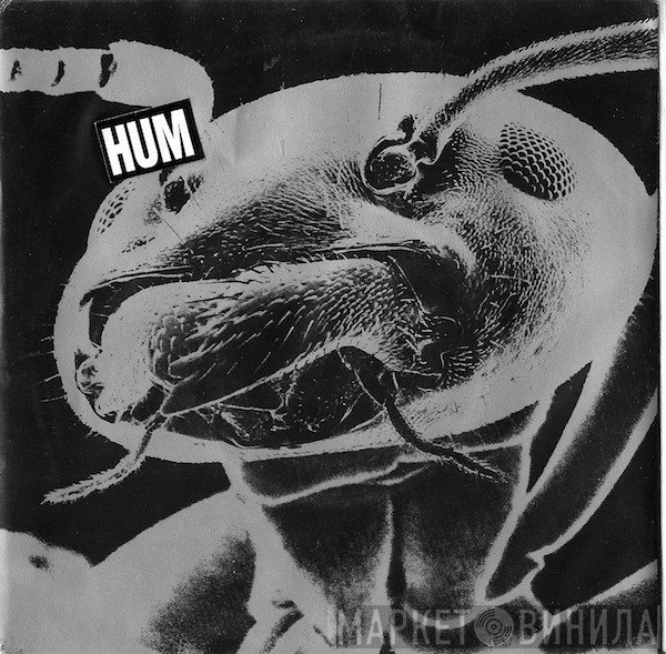 Hum   - Sundress